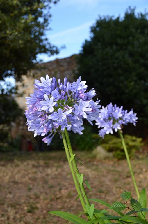 Maison De Benedicte Bed & Breakfast 3*